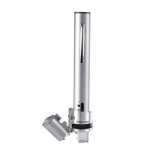 Microscope 100 Fois Stylo LED pour Authentifier Peinture et Bijoux