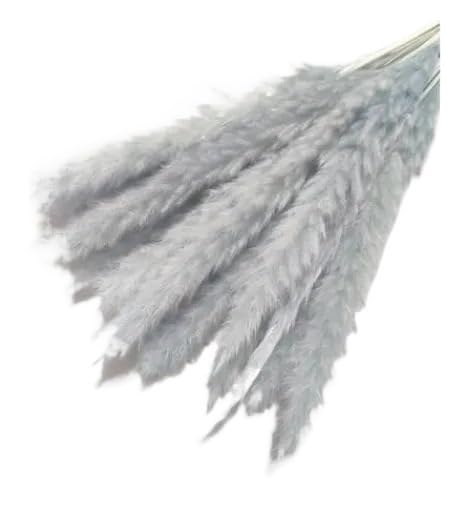 Pampas Grass Large 15pcs Decoración Artificial miniatura 1