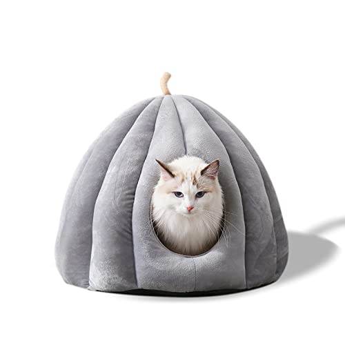 Galatée Cuccia Per Animali Domestici, Nido Per Gatti Con Cuscino Interno Lavabile Rimovibile, Lettino Morbido Per Animali Di Piccola Taglia, Lettino Igloo Per Gatti In Peluche（L, Grigio