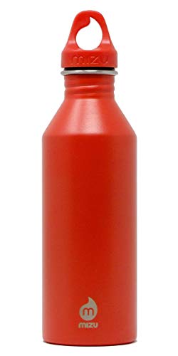 Best Mizu Bottles