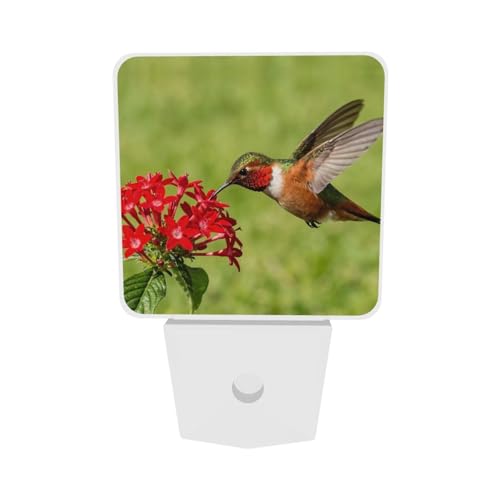 Image of Spring Hummingbird Night Light Set of 2, Red Flowers Auto Sensor LED Dusk-to-Dawn Nightlights, Plug-in Sensor Lamp for Bedroom Bathroom Kitchen Hallway Stairs Decorative