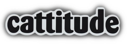 Imán decorativo rectangular Pet Word Magnets