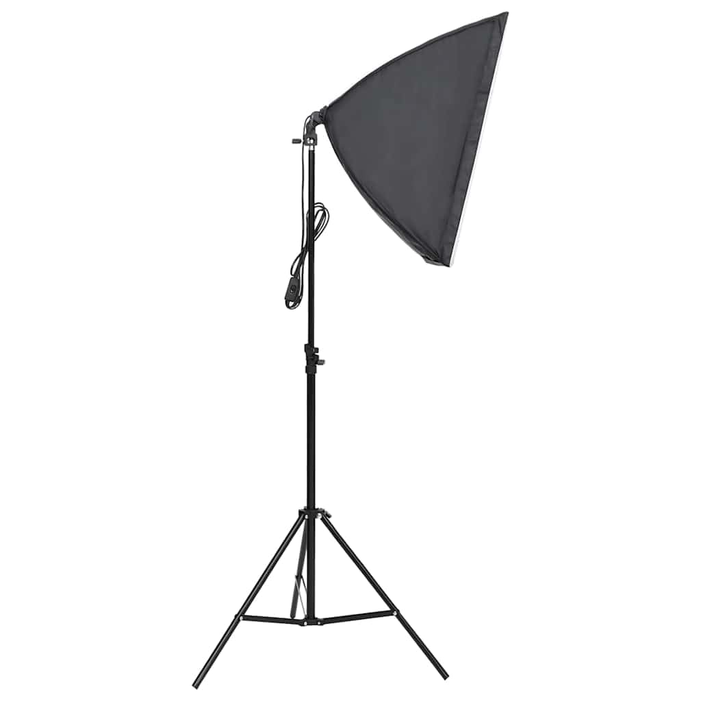vidaXL Lampe de Studio Professionnelle Equipement de Photographie Système de Fond Prise de Photos Analogique de Produits Intérieur 60x40 cm