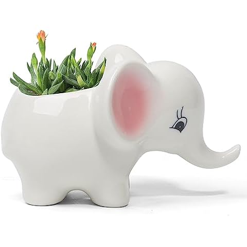 Dashare Adorable Ceramic Elephant Succulent Planter with Drainage for Home Decor，Indoor Animal Plant Pot, White Elephant Ceramic Cactus/Flower Container (Elephant) Cover