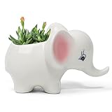 Dashare Adorable Ceramic Elephant Succulent Planter with Drainage for Home Decor，Indoor Animal Plant Pot, White Elephants Ceramic Cactus/Flower Container (Elephant)