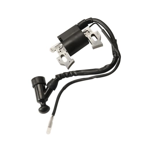 Bobine d'allumage pour réparer le démarrage de tondeuse 1P65F