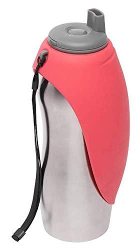 Messy Mutts Stainless Steel Travel Water Bottle with Oversized Silicone Flip-up Bowl for Dogs- Watermelon