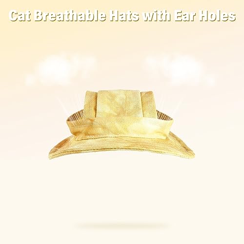 #1 Best Dentrun Cat Bucket - Premium Pet Apparel Set - Image 5