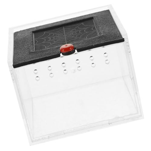 Kichvoe ঒��ޗp���a�{�b�N�X �����A�N�����e�� �����^�e�����E�� �N�� �J�G�� ������ �J�^�c���� ���� ����P�[�X �ʋC�E�t��