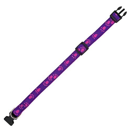 Set di collare per cani e guinzaglio con motivo a