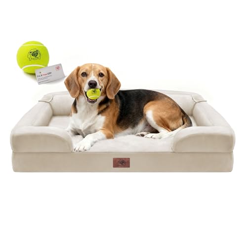 Orthopedic Waterproof Memory Foam Dog Bed with Toy