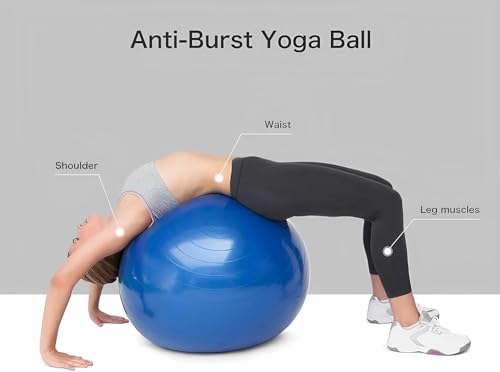 Gym Ball for Exercise Purple 65 cm Diameter Anti Burst Exercise Ball with Foot Pump for Workout Yoga Ball for Women and Men Swiss Ball for Balance Stability Training