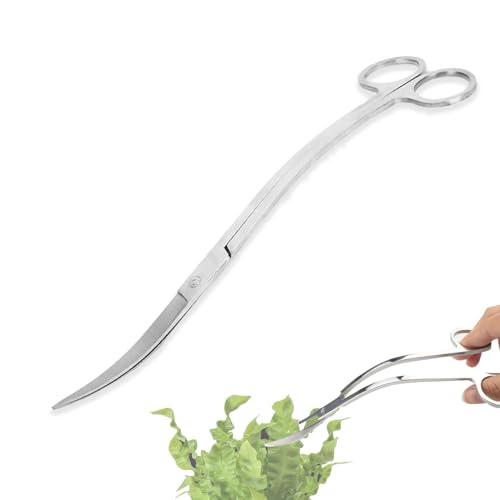 Edelstahl Gebogene Aquarium Schere,25 cm Aquarium Pflanzenschere,Aquascaping,Wave Scherev,Pflanzenschere Für Wasserpflanzen (25 cm, Silber)