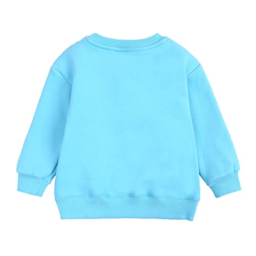 Toddler Girls Solid Color Cotton Sweatshirt Pullover T-Shirt Crewneck Long Sleeve Tops Trendy Fall Simple Tees Clothes3