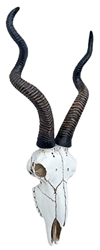 Calavera de Antílope Kudu Africano 14.5 pulg Top Brass miniatura 4