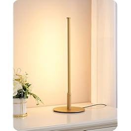 EDISHINE Upgraded LED...