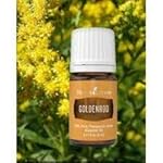 Goldenrod Essential Oil | 5 ml | Warm & Uplifting Aroma for Diffusing, Topical Use, & DIY Blends | 100% Pure Essential Oil with Young Living’s Seed to Seal® Quality Commitment - Image 2