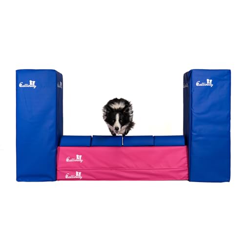 Callieway Turnier Agility Mauer „Bounce Over - Soft“ – alle FCI Sprunghöhen (Fuchsia/blau)