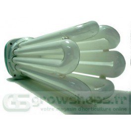 Ampoule CFL 8U 200w - 6400°K - Croissance - E40 - Superplant