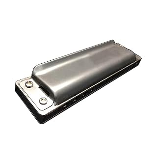 PacuM Harmonica by Instrument Key Harmonica professionnelle 10 trous avec étui Harmonica for adultes débutants Harmonica - Les Beatles, Paul McCartney, John Lennon, RIngo Starr, George Harrison PacuM Harmonica by Instrument Key Harmonica professionnelle 10 trous avec étui Harmonica for adultes débutants Harmonica – Image 2