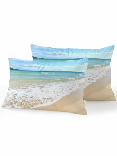 Atuitaisyou ������ �r�[�` �C �g �� ���R���i �l�p�� �w���� �s���[ ����� �􂦂� ���ɑ΍� ���z�c �h�� �ӂ�ӂ� �N�b�V���� �\�t�@ �������� �C���e���A �ƒ�p �Ɩ��p 30×50cm 2���Z�b�g