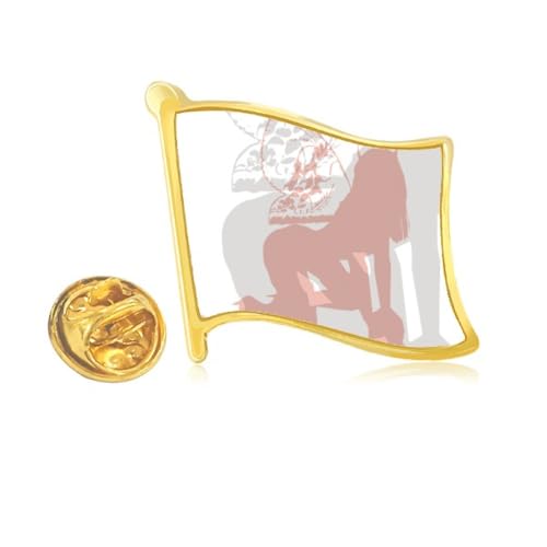 Pin's à épinglette en métal doré drapeau de la femme aux finitions unies