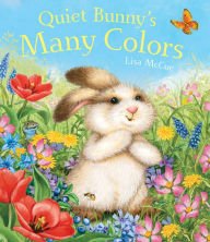 Quiet Bunny's Many Colors      Hardcover – January 1, 2010