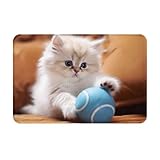 gatos persas en adopcion pereira YTUOPWE Felpudo con imagen de gato persa jugando con una bola. Material del producto: Nuestro felpudo está hecho de tela de franela de alta calidad con buena resistencia a la suciedad. A prueba de humedad, resistente al desgaste y antideslizante para proteger tu suelo. .
