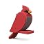 Cardinal
