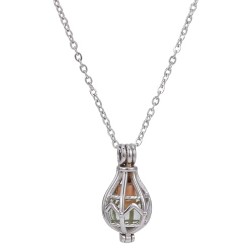 nbeads Collar de cenizas para mascotas, acero inoxidable con urna de cristal, colgante de ceniza y caja de almacenamiento, collares de cremación, para perros, gatos, mascotas, medallón conmemorativo