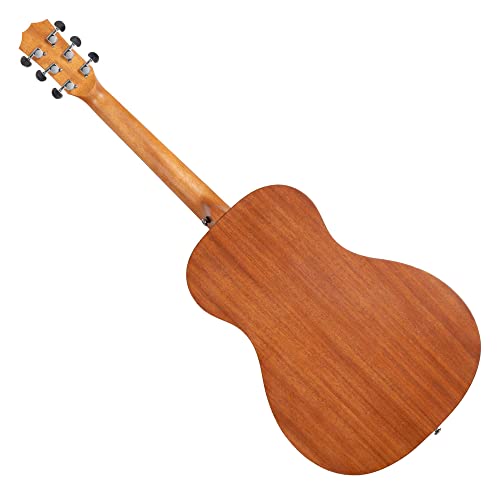 Shaman WSF-10 NT Guitare folk - Les Beatles, Paul McCartney, John Lennon, RIngo Starr, George Harrison Shaman WSF-10 NT Guitare folk – Image 3