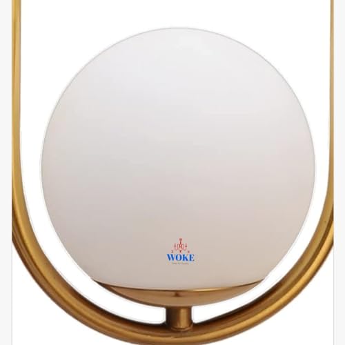 Image of WOKE Light Frosted Glass Globe Shade Contemporary Wall Mounted Light Fixture for Home Decor Bathroom Bedroom Hallway Living Room(Bulb not Included) 876815