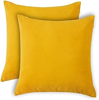 SWISSPACK 2 Cushions + 2 Covers for Sofa 20X20 Inches 50cm x 50cm Soft Smooth Throw Pillowcases Velvet for Bedroom with Invisible Zipper, Cover and Insert included.
