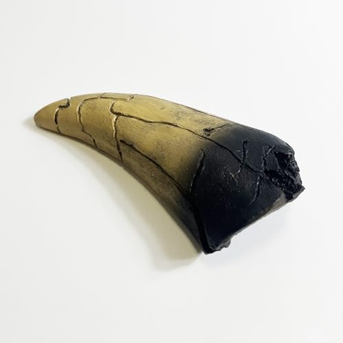 Image of 5.1 inches Tyrannosaurus Tooth Direct Cast Replica,Dinosaur Relic Bone Replica