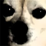 Dark Adeptus