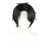 osseoca Ushijima Wakatoshi Straight Short Black 30cm Wig Lifelike Daily Synthetic Hair Full Head Cover Daily Cute Anime Halloween Carnival Comic Exhibition Cosplay Hair Natural COS Ombre Wigs with Bangs (Ushijima Wakatoshi)