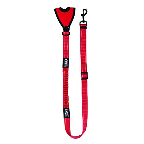 Just Pet Zone Bungee Dog Lead Strong 5 Feet Length - Hands-Free Running Training dog Lead with Superior Control & Reflective Stitching - Zero Shock Shock-Absorbing Technology.