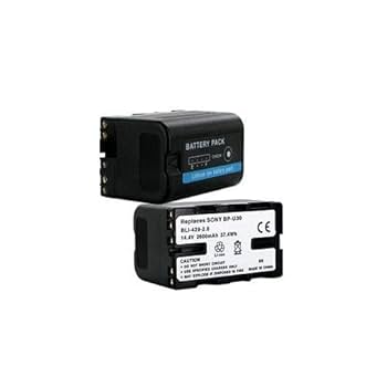 Amazon.com: Synergy Digital Camcorder Battery, Works with