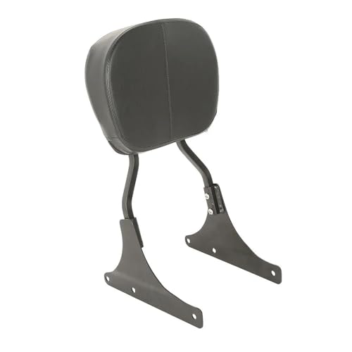 Sissy bar dossier bas FXSTSB Bad Boy pour voyager à deux