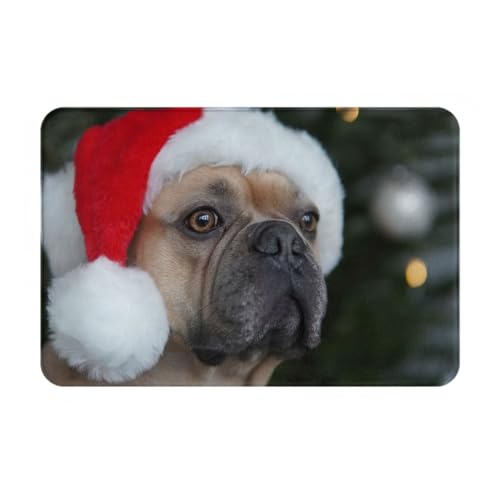 ���փ}�b�g �t�����`�u���h�b�O �� ���� ���O ����~�� �􂦂� �k���� �t�����l�� �z������ �h�L �R�� ���� ������� 40×60cm �o�X�}�b�g �L�b�`���}�b�g