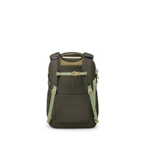 Image of Daylite Carry-On Travel Pack 35L - Carry-On Backpack
