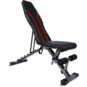 YSSOA Training Weight Bench, Adjustable Strength Training Bench for Full Body Workout Multi-Purpose Foldable incline/decline Bench, Max Load 250KG, Red+Black