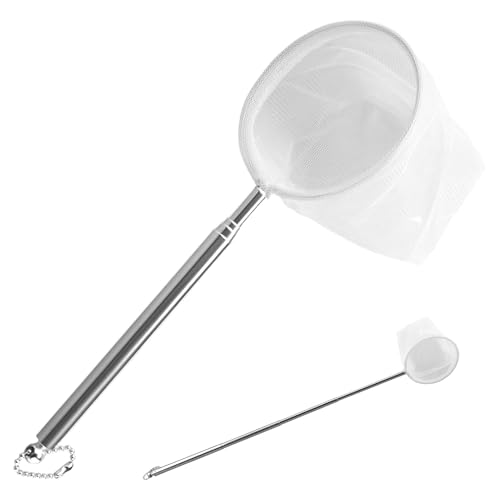 Mini Épuisette pour Aquarium avec Manche Extensible en Acier Inoxydable, pour Attraper Les Petits Poissons et Les Crevettes et pour Le Nettoyage