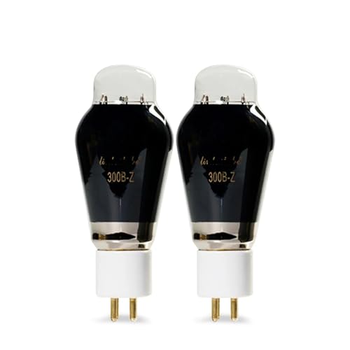 FLEYYXBN Vacuum Tube 300B-Z 300BZ HiFi Audio Tube(2 pcs)