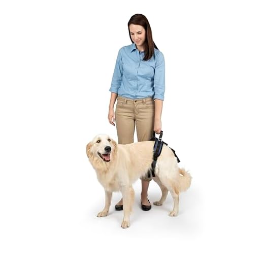 PetSafe Hüft-Hebegeschirr für Hunde