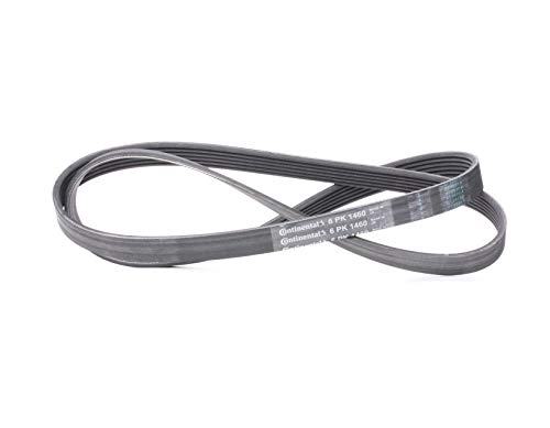 Continental Contitech 6PK1460 Courroie trapézoïdale à nervures