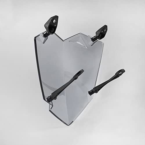 TAZGANTAX Proteggi Lente per Protezione Faro