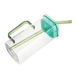 ELAYARD Vasos Cuadrados de Vidrio de Borosilicato de Alta Resistencia con Diseño Antideslizante para Bebidas Frías y Calientes Fiestas para Jugos Leche y Café Incluye Pajita Verde