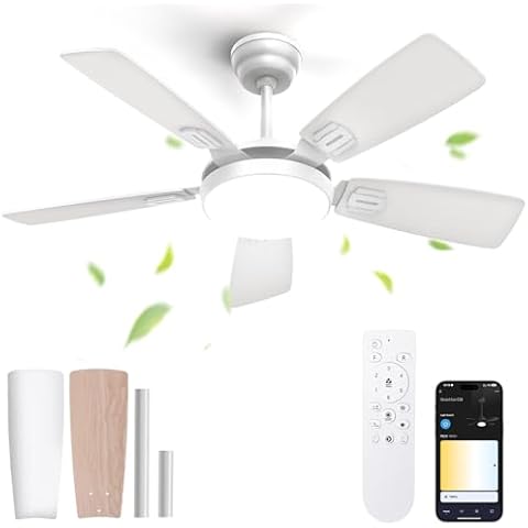 BLITZWILL 42" Ceiling Fan with Lights Cover
