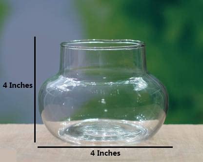 Image of Mini Glass Flower Vase, Candy Jar | Pack of 1 Piece, 4 Inches | Money Plant, Bamboo Plant Pot for Bedroom, Living Room, Office Reception & Table Centrepiece
